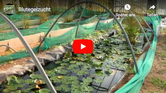 Imagefilm der Biebertaler Blutegelzucht GmbH