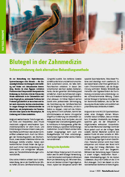 bi 2004 naturheilkundejournal blutegelinderzahnmedizin 420