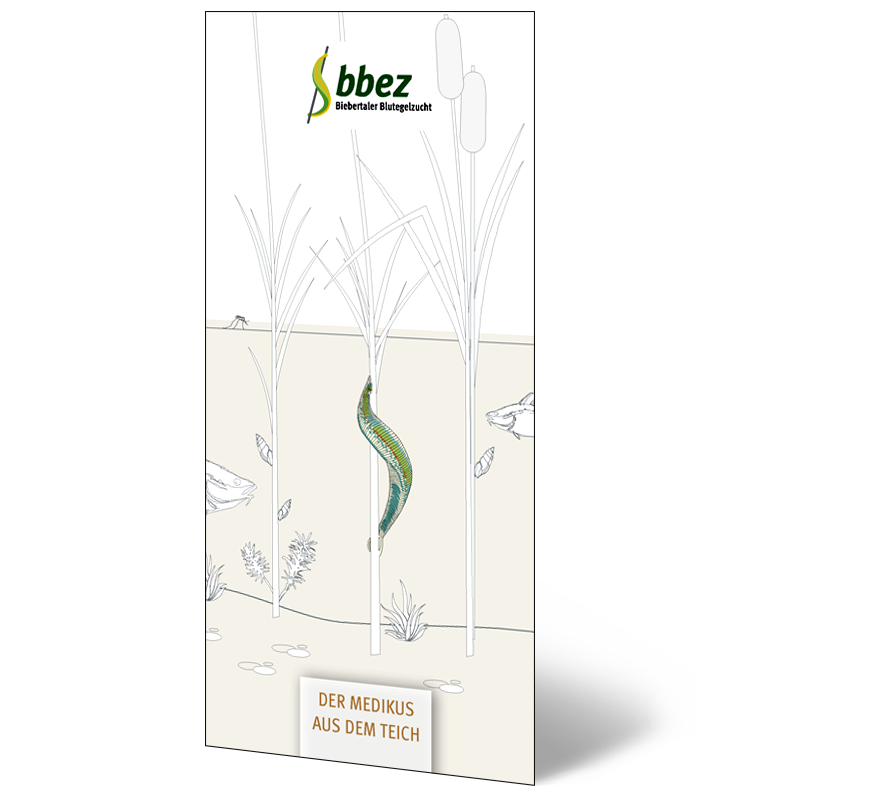 Brochure d’information