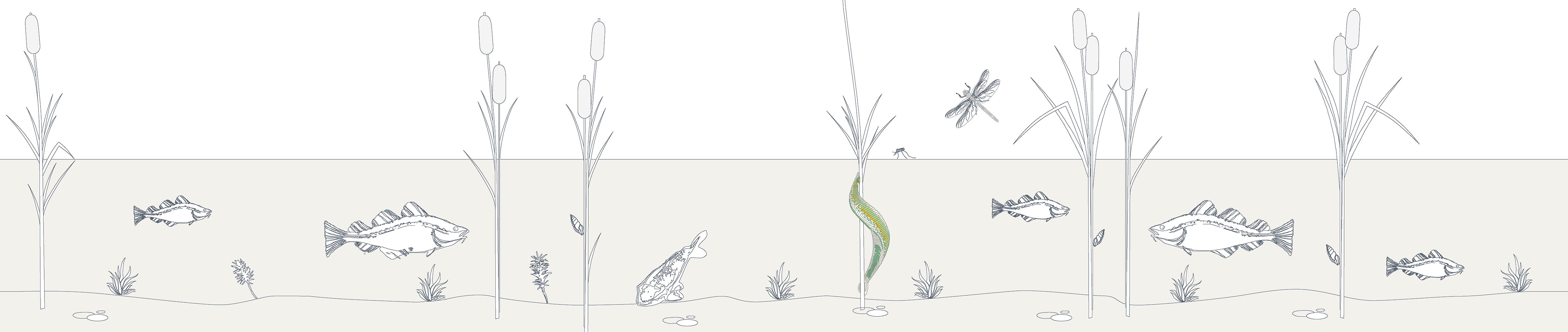 head ###################